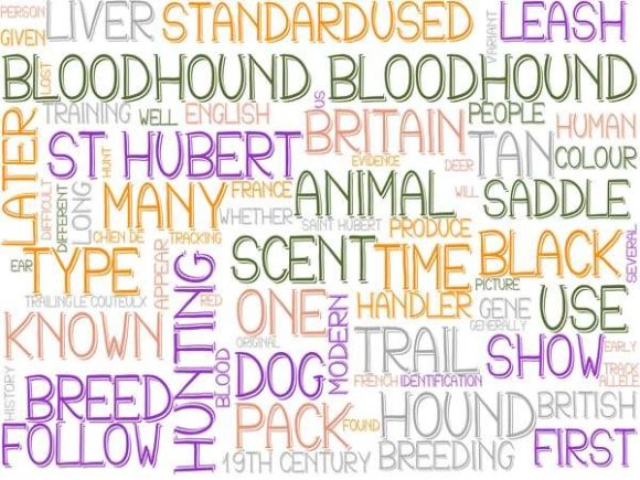 Bloodhound Wordcloud Crafting: A Practical Guide for Designers and Marketers