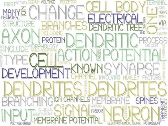 Dendrites Wordcloud Sublimation Tumbler