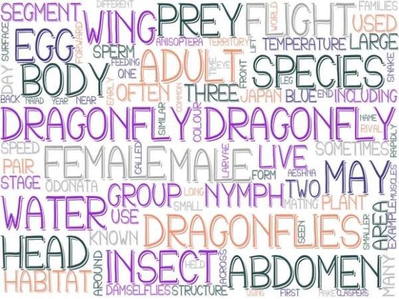 Dragonfly Wordcloud Tumbler: A Flexible, Visual Design Resource for Diverse Creative Needs
