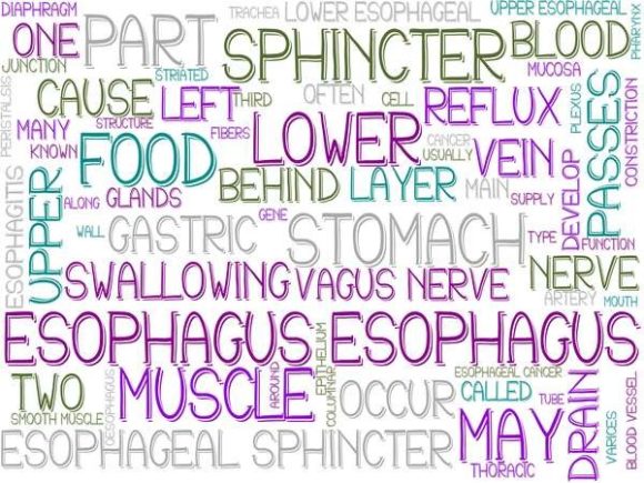 Esophagus Wordcloud Sublimation
