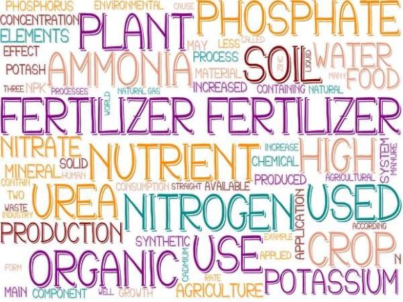 Fertilizer Wordcloud Tshirt: A Versatile Design Asset for Gardeners, Educators, and Creative Professionals