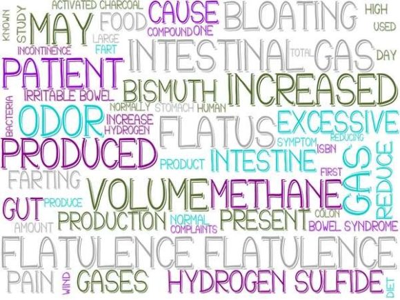 Flatulence Wordcloud Sticker: A Practical Evaluation for Designers and Marketers