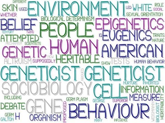 Geneticist Wordcloud Skinny Tumbler: A Strategic Design Asset for Purpose-Driven Creators
