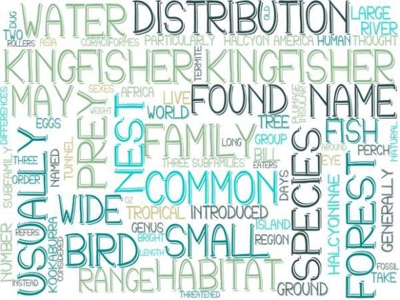 Kingfisher Wordcloud Tshirt: A Versatile Design Asset for Real Creative Work