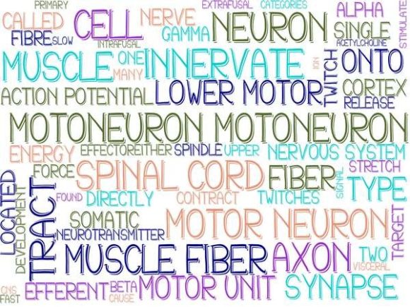 Motoneuron Wordcloud Tumbler: Your Go-To Visual Toolkit for Meaningful, Memorable Communication
