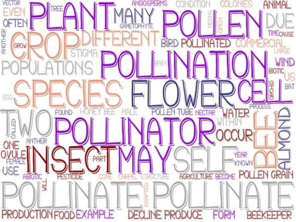 Pollinate Wordcloud Tshirt: A Versatile Design Asset for Creators and Brands